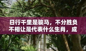 日行千里是骏马，不分胜负不相让是代表什么生肖，成语释义解释落实