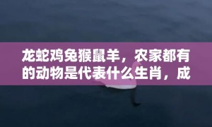 龙蛇鸡兔猴鼠羊，农家都有的动物是代表什么生肖，成语释义解释落实