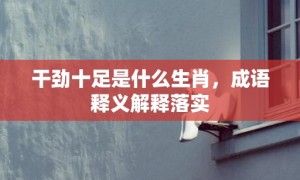 干劲十足是什么生肖，成语释义解释落实