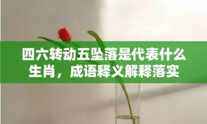 四六转动五坠落是代表什么生肖，成语释义解释落实