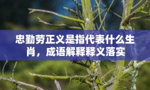 忠勤劳正义是指代表什么生肖，成语解释释义落实