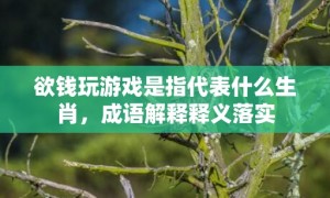 欲钱玩游戏是指代表什么生肖，成语解释释义落实