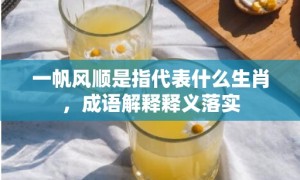 一帆风顺是指代表什么生肖，成语解释释义落实