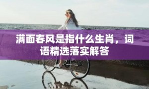 满面春风是指什么生肖，词语精选落实解答