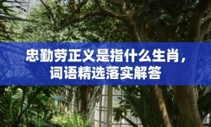 忠勤劳正义是指什么生肖，词语精选落实解答