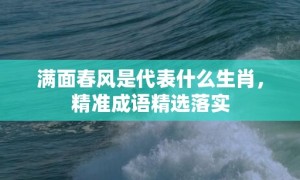 满面春风是代表什么生肖，精准成语精选落实