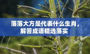 落落大方是代表什么生肖，解答成语精选落实