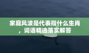 家庭风波是代表指什么生肖，词语精选落实解答