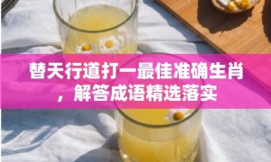 替天行道打一最佳准确生肖，解答成语精选落实