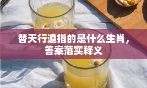 替天行道指的是什么生肖，答案落实释义