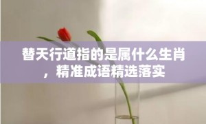 替天行道指的是属什么生肖，精准成语精选落实