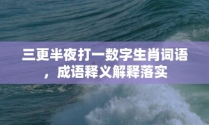 三更半夜打一数字生肖词语，成语释义解释落实