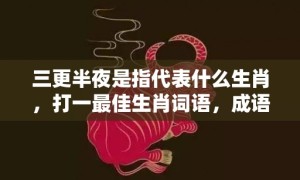 三更半夜是指代表什么生肖，打一最佳生肖词语，成语释义解释落实