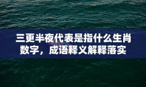 三更半夜代表是指什么生肖数字，成语释义解释落实