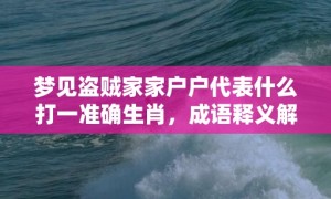 梦见盗贼家家户户代表什么打一准确生肖，成语释义解释落实