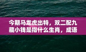 今期马龙虎出特，双二配九藏小钱是指什么生肖，成语释义解释落实