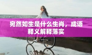 宛然如生是什么生肖，成语释义解释落实