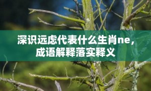 深识远虑代表什么生肖ne，成语解释落实释义