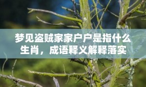 梦见盗贼家家户户是指什么生肖，成语释义解释落实