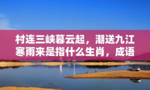 村连三峡暮云起，潮送九江寒雨来是指什么生肖，成语释义解释落实