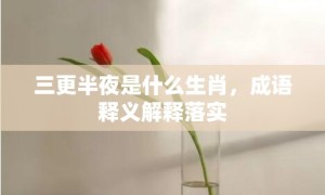 三更半夜是什么生肖，成语释义解释落实