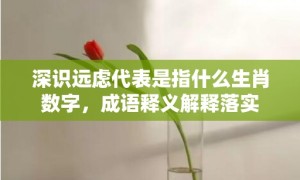 深识远虑代表是指什么生肖数字，成语释义解释落实