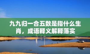 九九归一合五数是指什么生肖，成语释义解释落实