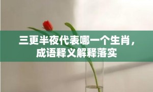 三更半夜代表哪一个生肖，成语释义解释落实