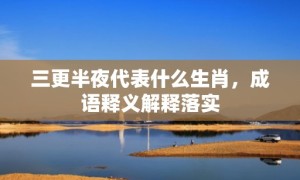 三更半夜代表什么生肖，成语释义解释落实