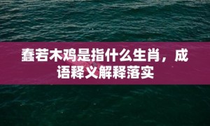 蠢若木鸡是指什么生肖，成语释义解释落实