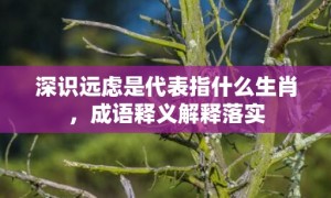 深识远虑是代表指什么生肖，成语释义解释落实