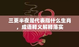 三更半夜是代表指什么生肖，成语释义解释落实