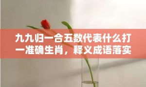 九九归一合五数代表什么打一准确生肖，释义成语落实解释