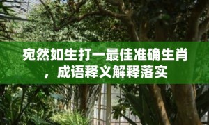 宛然如生打一最佳准确生肖，成语释义解释落实