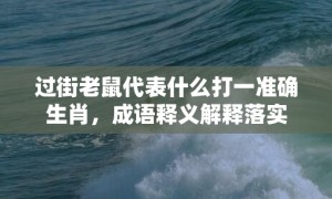 过街老鼠代表什么打一准确生肖，成语释义解释落实