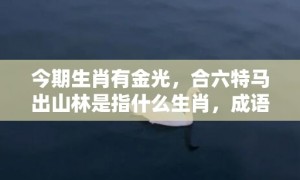 今期生肖有金光，合六特马出山林是指什么生肖，成语释义解释落实