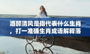 酒醉清风是指代表什么生肖，打一准确生肖成语解释落实释义