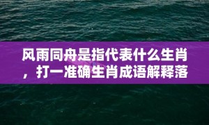 风雨同舟是指代表什么生肖，打一准确生肖成语解释落实释义