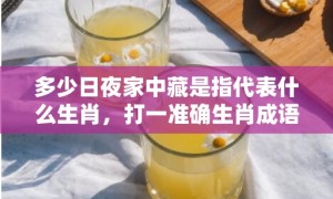 多少日夜家中藏是指代表什么生肖，打一准确生肖成语解释落实释义