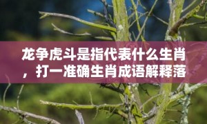 龙争虎斗是指代表什么生肖，打一准确生肖成语解释落实释义