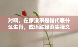 对啊，在家没事是指代表什么生肖，成语解释落实释义