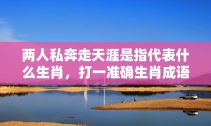 两人私奔走天涯是指代表什么生肖，打一准确生肖成语解释落实释义