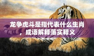 龙争虎斗是指代表什么生肖，成语解释落实释义