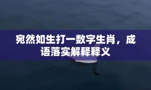 宛然如生打一数字生肖，成语落实解释释义