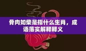 骨肉如柴是指什么生肖，成语落实解释释义