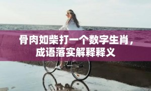 骨肉如柴打一个数字生肖，成语落实解释释义