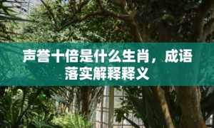 声誉十倍是什么生肖，成语落实解释释义