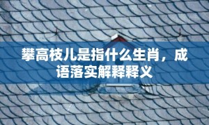 攀高枝儿是指什么生肖，成语落实解释释义