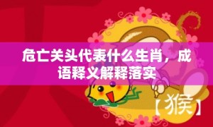 危亡关头代表什么生肖，成语释义解释落实