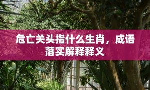 危亡关头指什么生肖，成语落实解释释义